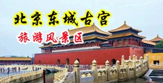 日韩aaa视频免费看中国北京-东城古宫旅游风景区